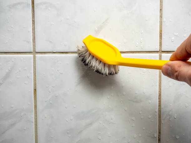 Best Basement Mold Remediation in Dillon, SC
